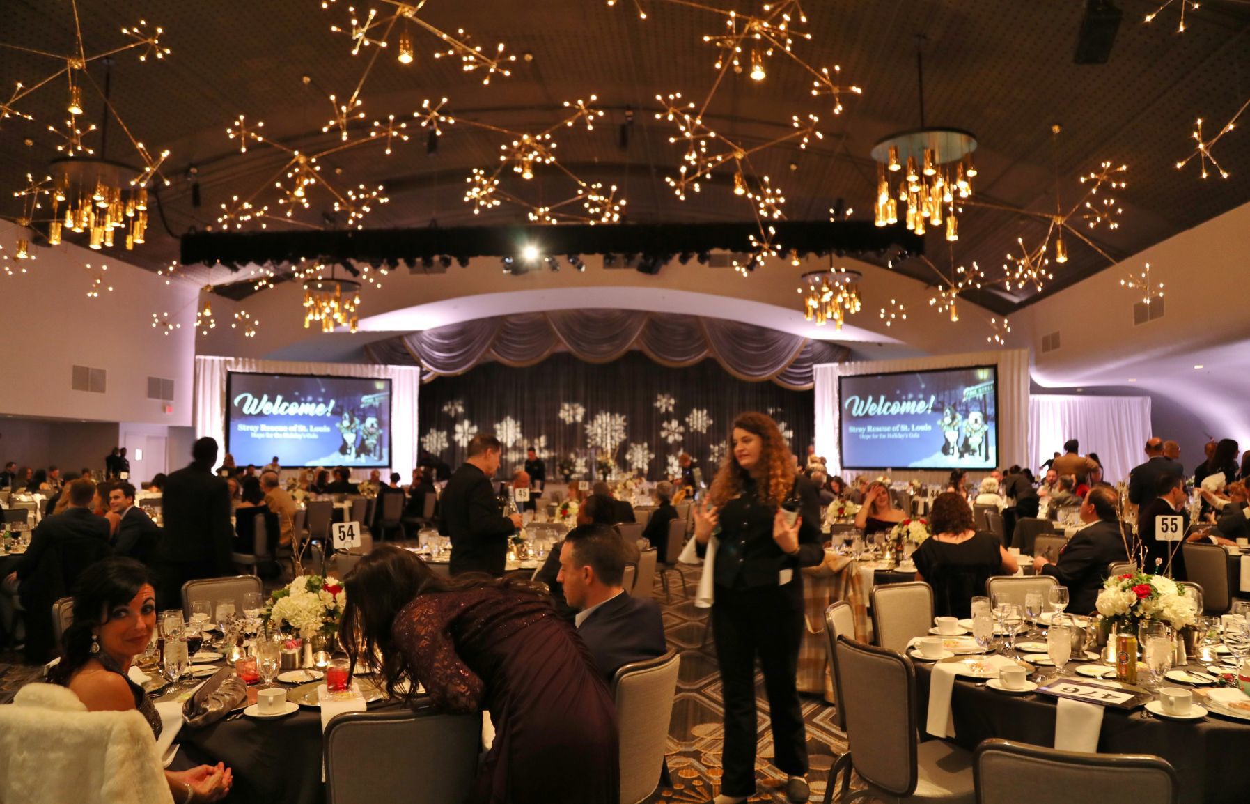 2019-Stray-Rescue-Gala-031.JPG